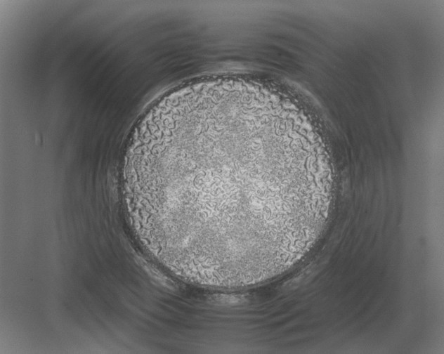 X0000082141409200702162131