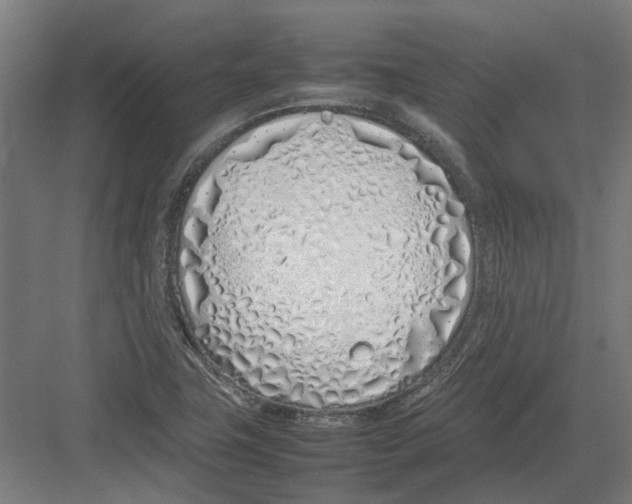 X0000082141411200702162131