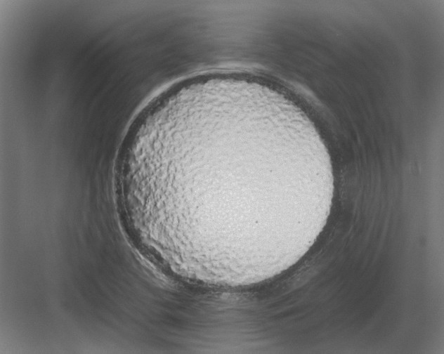 X0000082141412200702162131