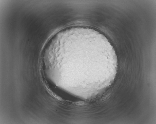 X0000082141413200702162131