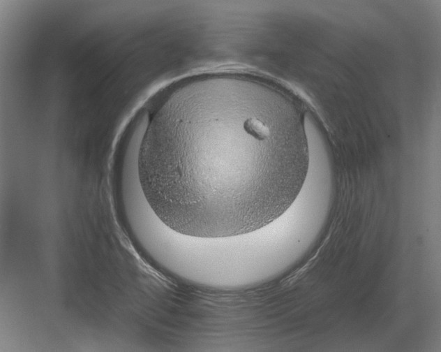 X0000082141414200702162131