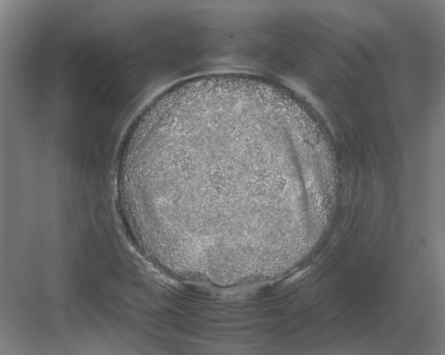 X0000082141415200702162131