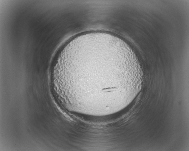 X0000082141416200702162131