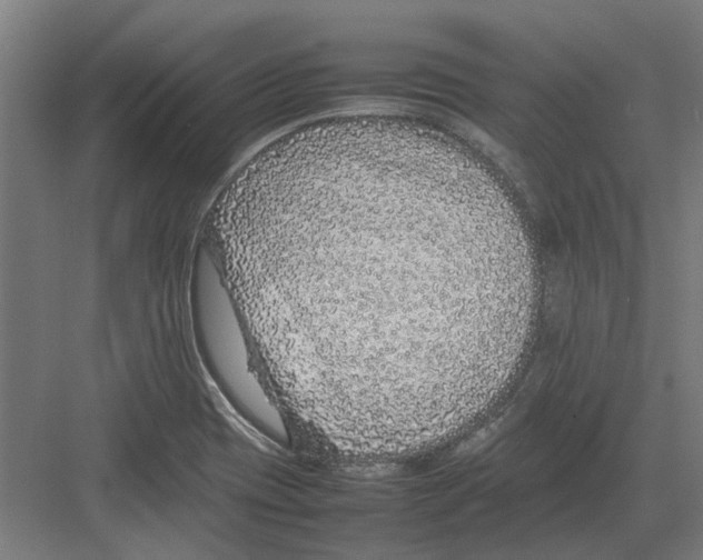 X0000082141417200702162131