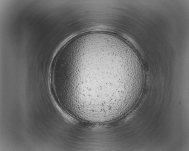 X0000082141418200702162131