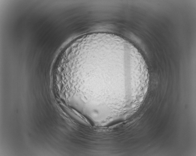 X0000082141419200702162131