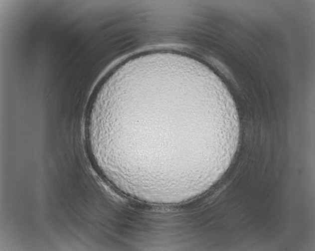 X0000082141420200702162131