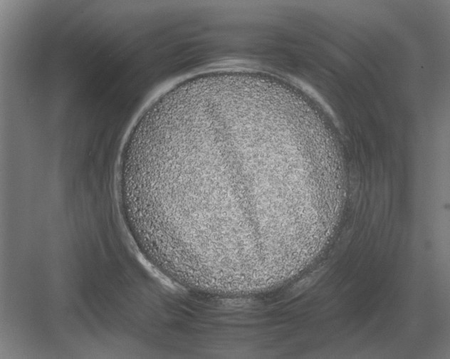 X0000082141421200702162131