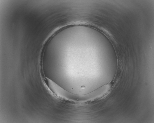 X0000082141422200702162131