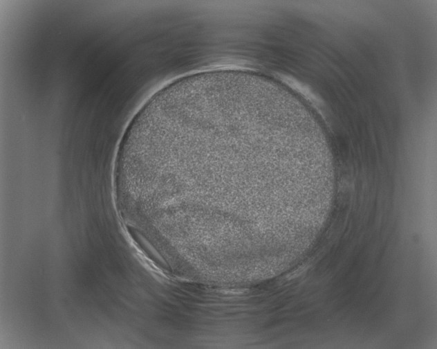 X0000082141423200702162131