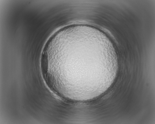 X0000082141424200702162131