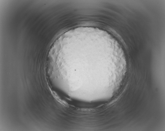 X0000082141425200702162131