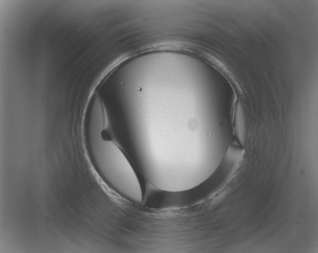 X0000082141426200702162131