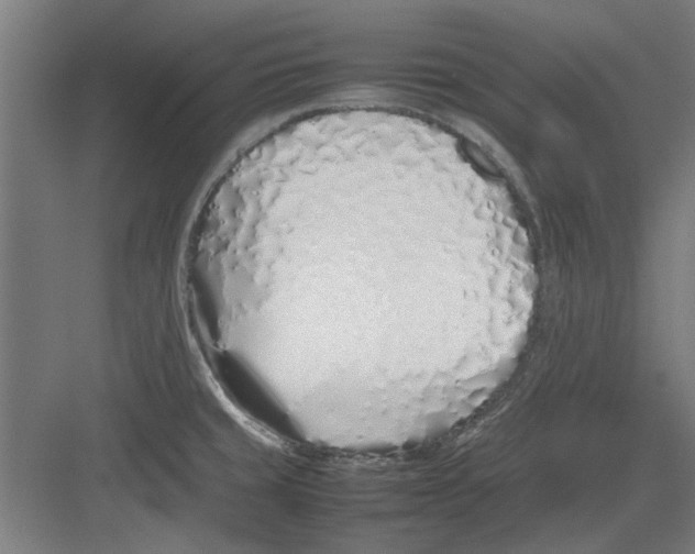 X0000082141429200702162131