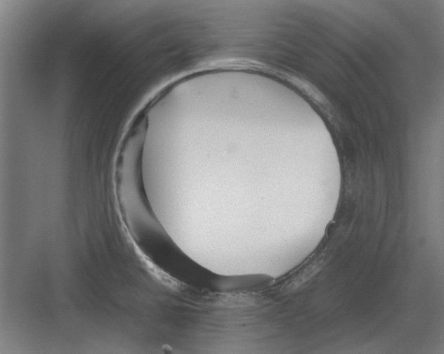 X0000082141430200702162131