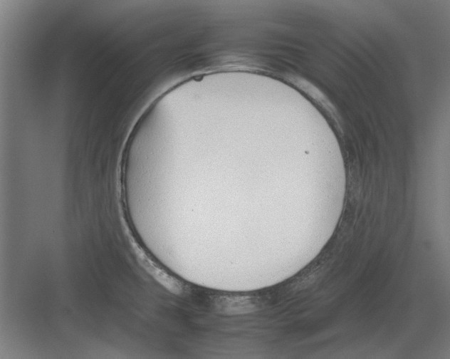 X0000082141431200702162131