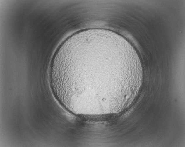 X0000082141432200702162131