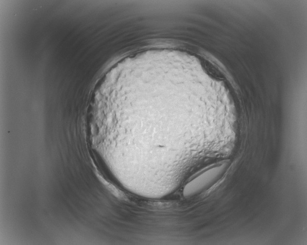 X0000082141433200702162131