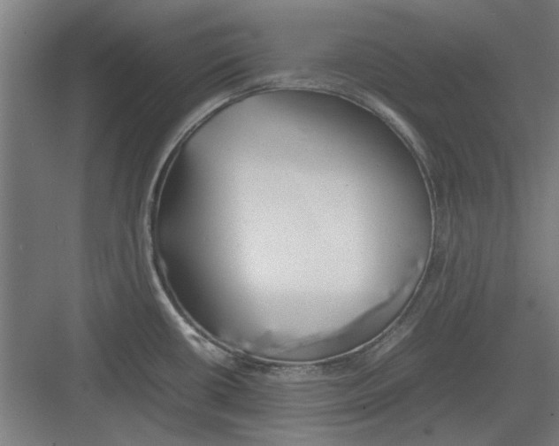 X0000082141434200702162131