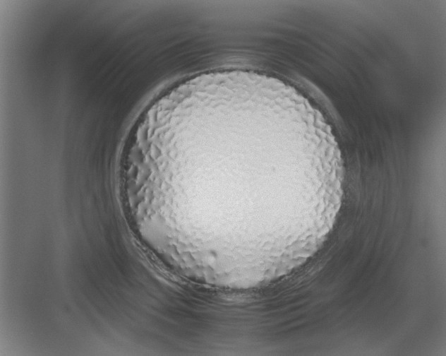 X0000082141435200702162131