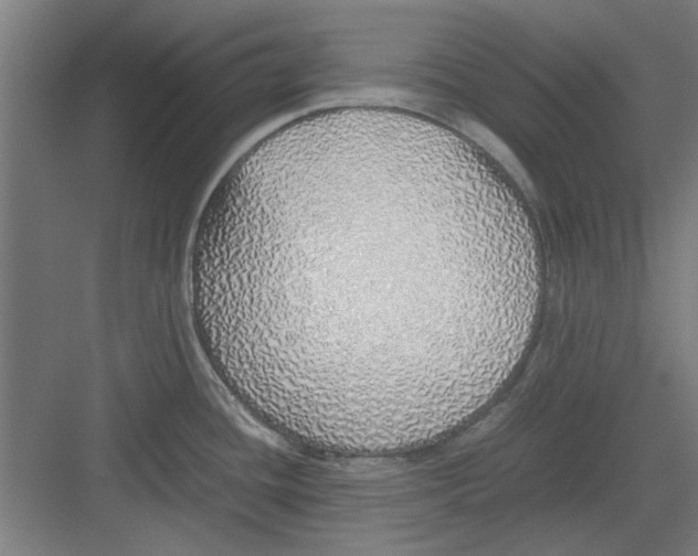 X0000082141436200702162131