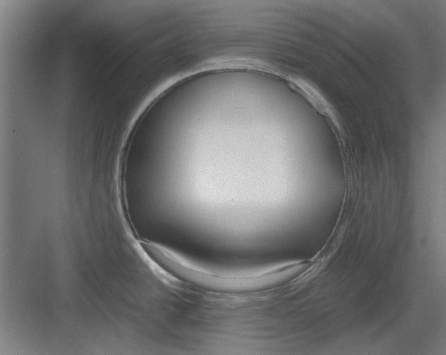 X0000082141438200702162131