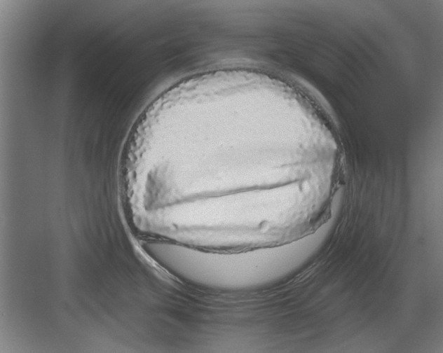 X0000082141439200702162131