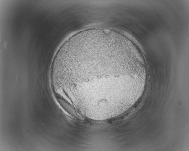 X0000082141440200702162131