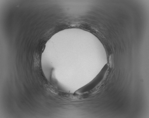 X0000082141443200702162130