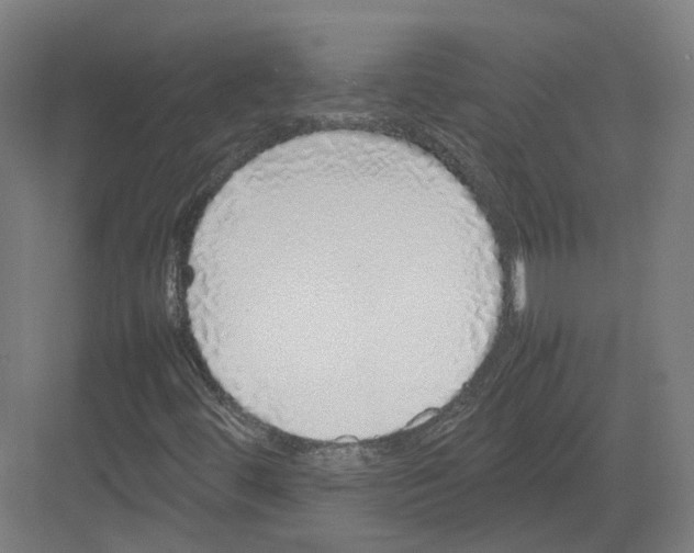 X0000082141444200702162130