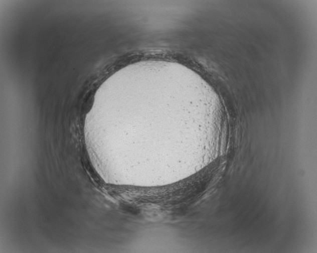 X0000082141445200702162130