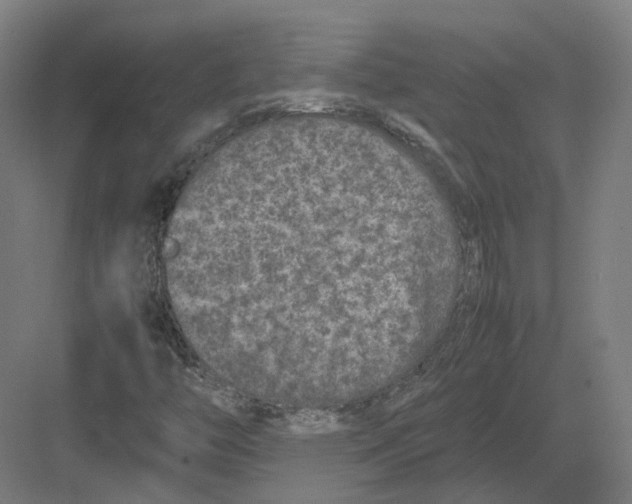 X0000082141446200702162130