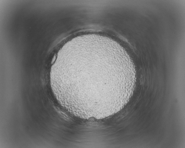 X0000082141448200702162130