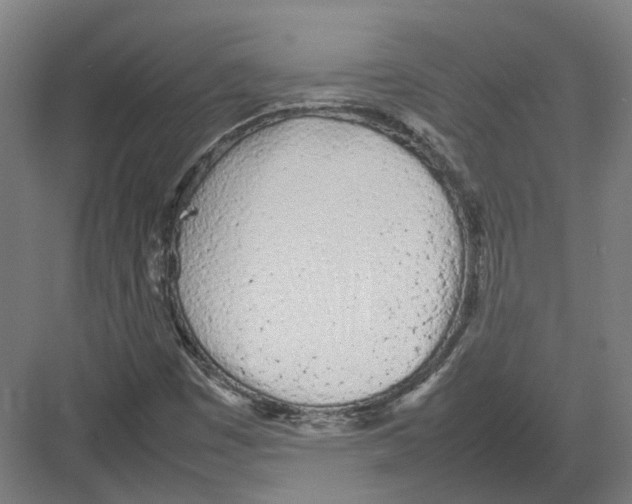 X0000082141449200702162130