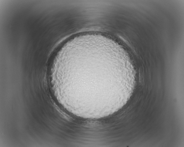 X0000082141452200702162130