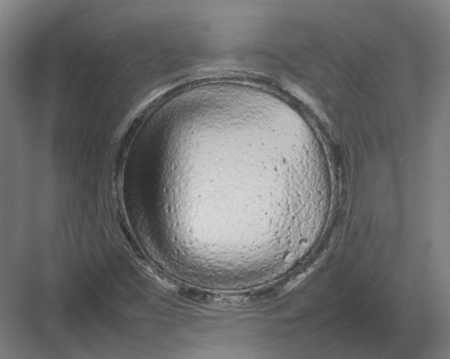 X0000082141453200702162130