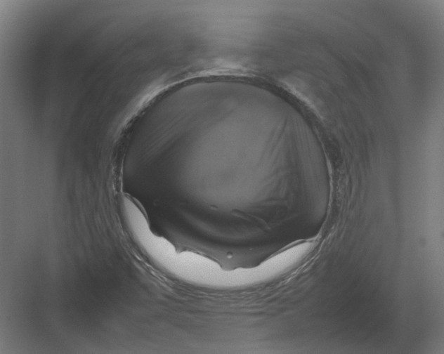 X0000082141455200702162130