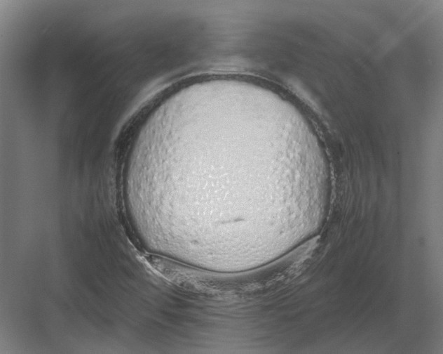 X0000082141456200702162130