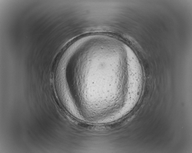 X0000082141457200702162130