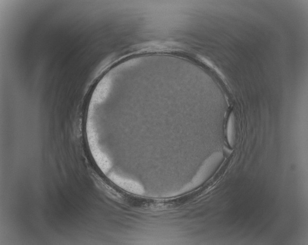 X0000082141459200702162130