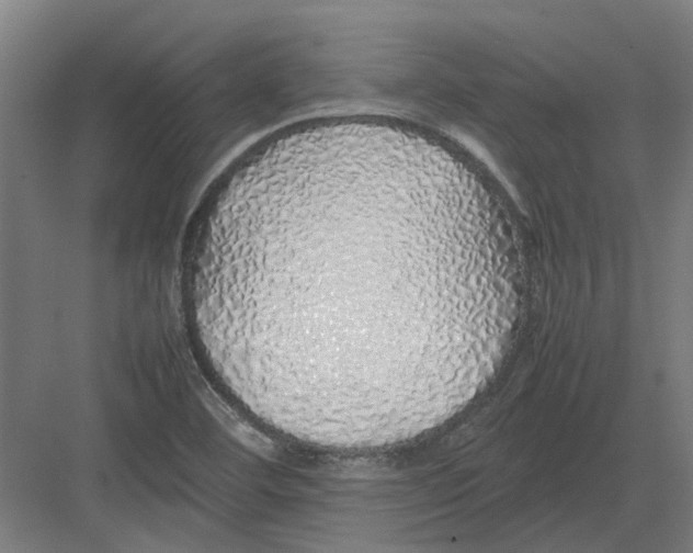 X0000082141460200702162130