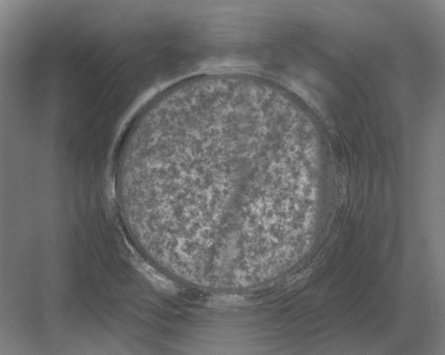 X0000082141462200702162130