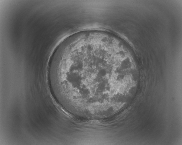 X0000082141463200702162130