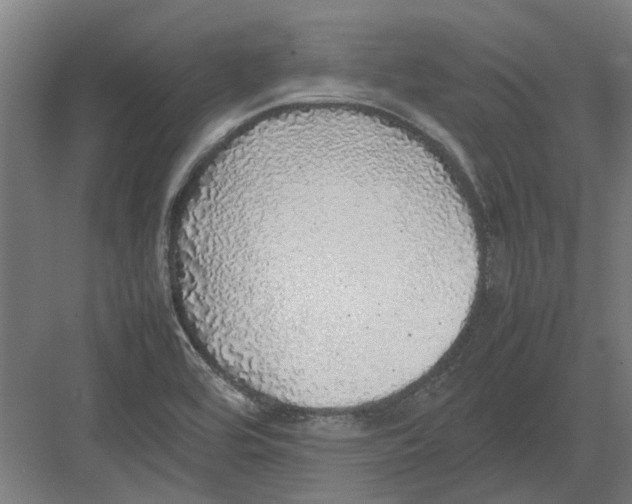 X0000082141464200702162130