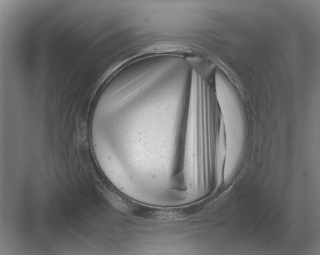 X0000082141465200702162130