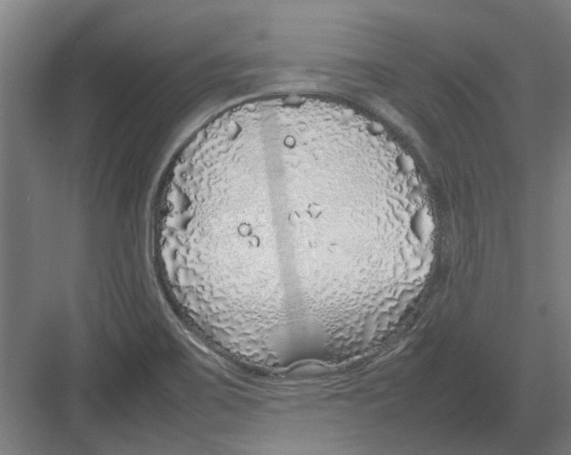 X0000082141467200702162130