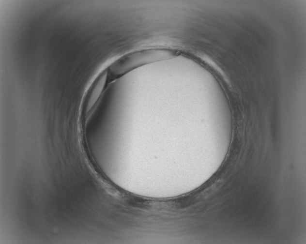 X0000082141469200702162130