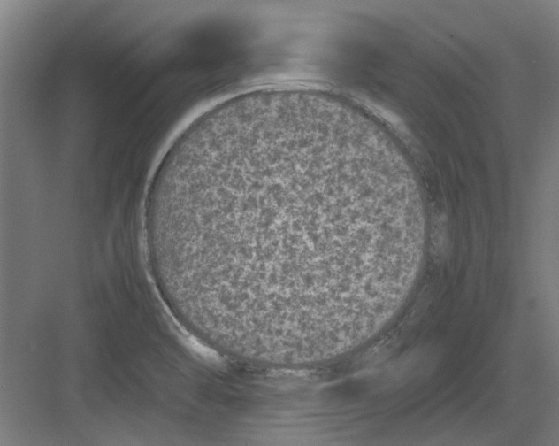 X0000082141470200702162130