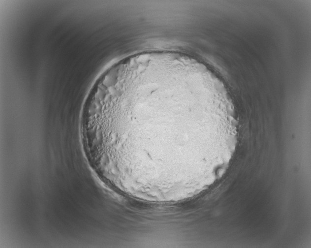 X0000082141471200702162130