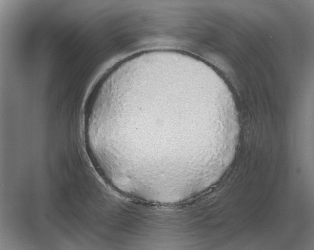 X0000082141472200702162130